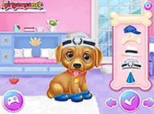 Celebrity Puppies Online Game