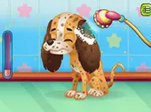 ER Cute Puppy Online Game