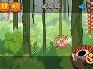 Rain Forest Hunter Online Game